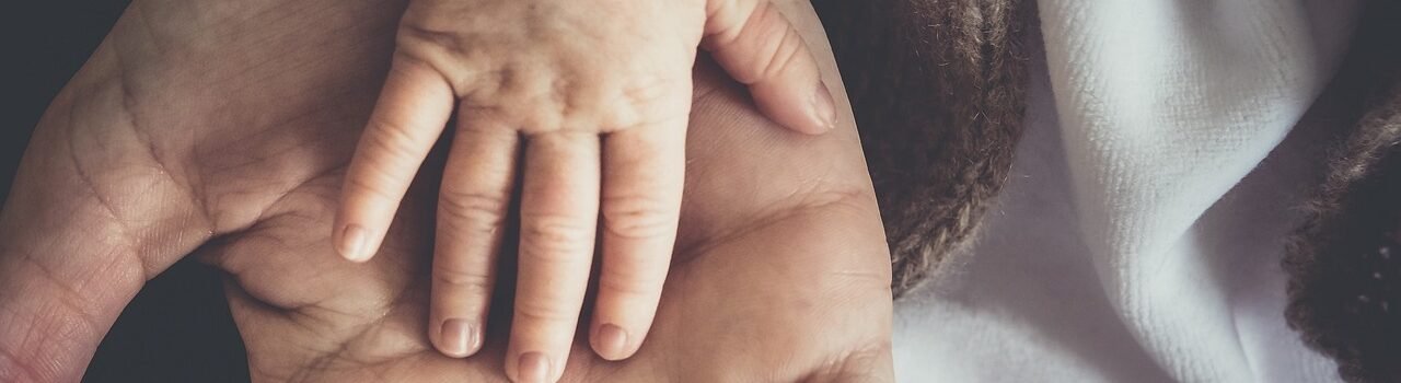 Teste de Paternidade. Confiança e precisão.