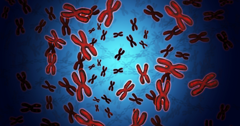 analise dos cromossomos no exame de cariótipo