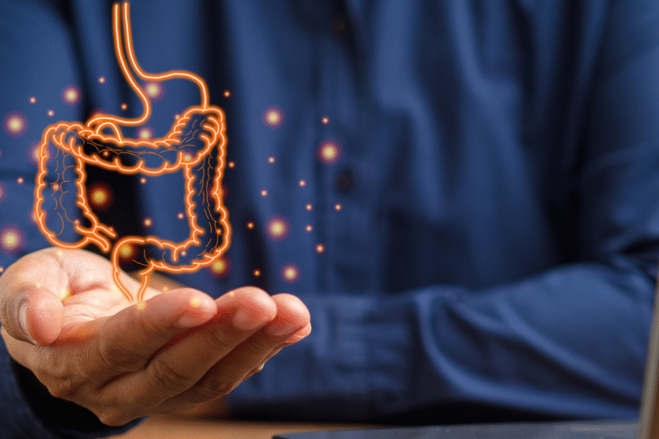 Homem segurando ilustração do intestino grosso, representando o exame calprotectina fecal e a investigação de inflamações intestinais.