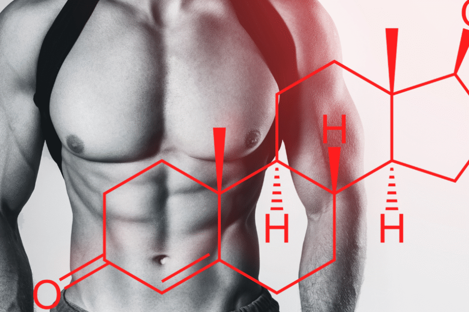 representação da molécula de testosterona que é convertida em estradiol pela aromatase.