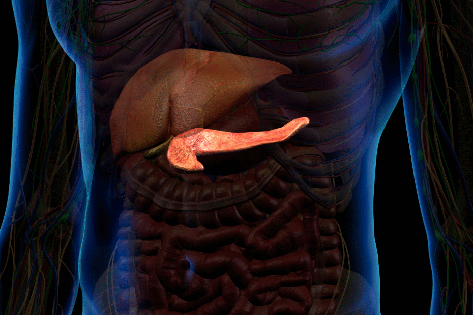 exame peptídeo C e função do pâncreas