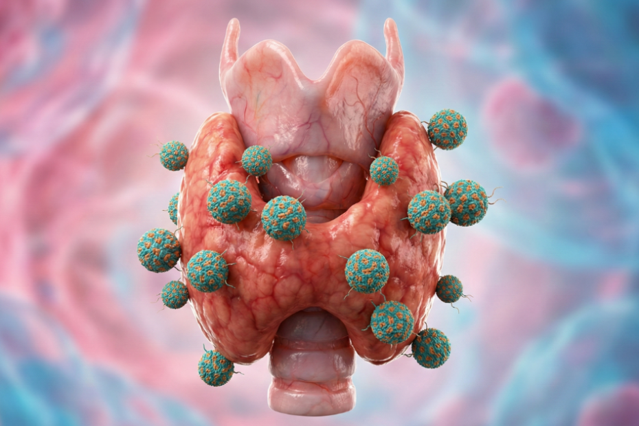 Ilustração da tireoide com anticorpos relacionados ao exame anti TRAb