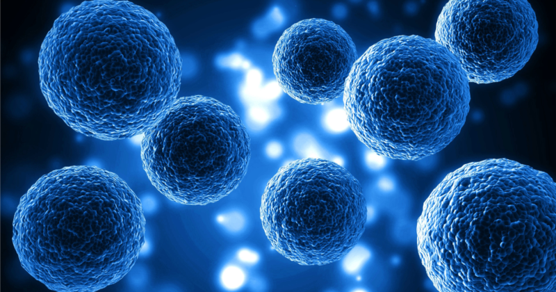 Células NK (Natural Killer) do sistema imunológico – ilustração científica