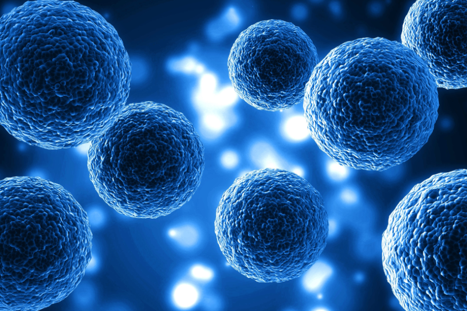 Células NK (Natural Killer) do sistema imunológico – ilustração científica