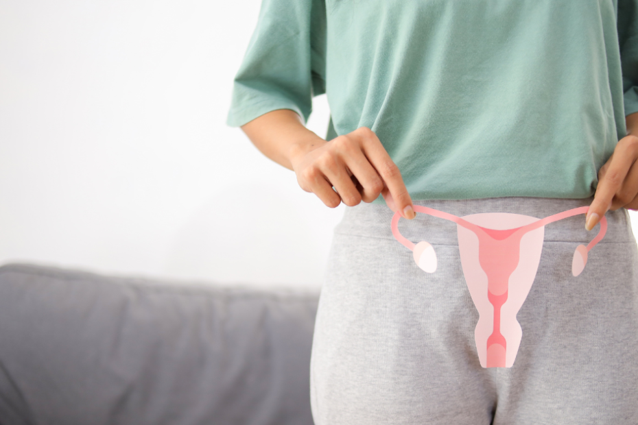 Ilustração da saúde íntima feminina relacionada aos sintomas de tricomoníase