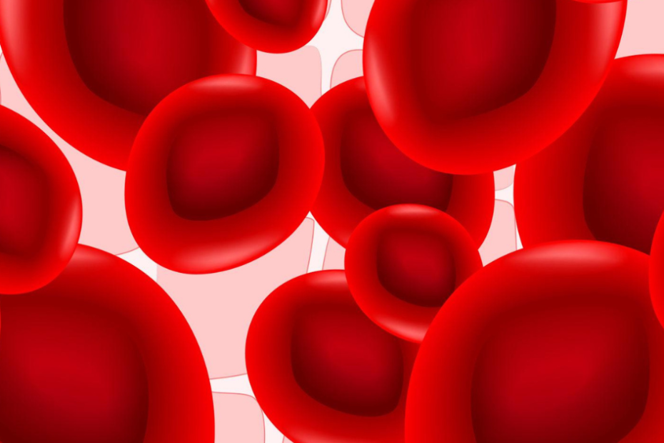 Ilustração de hemácias representando rdw no exame de sangue.